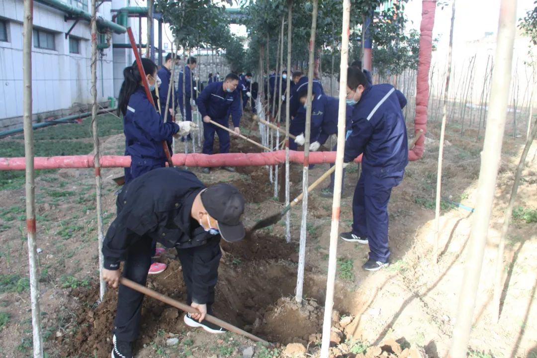 常州沖床送料機(jī)廠植樹(shù)