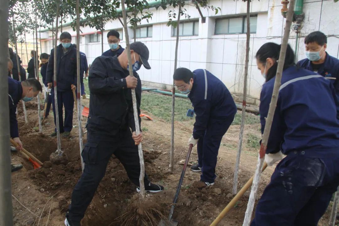 常州廠區(qū)植樹(shù)
