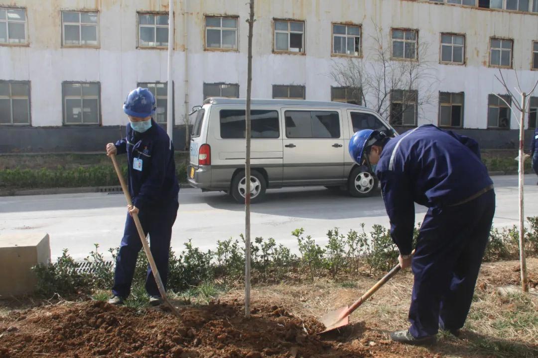 廠區(qū)綠化植樹(shù)