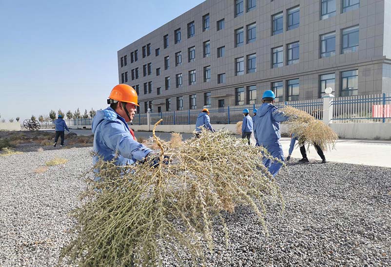 常州送料機(jī)廠區(qū)清理